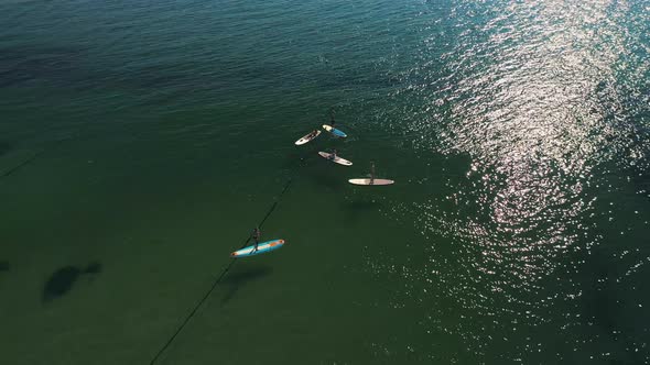 Tourists Floating on SUP Board in Blue Sea alt