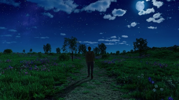 Walking in the Night Plains
