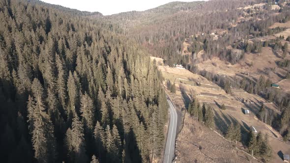 4k Drone Shot Over Road Near Forest In Fall