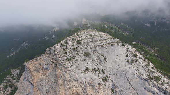 Rock ShaanKaya with Sheer Walls and Overgrown with Coniferous Forest Crimea alt