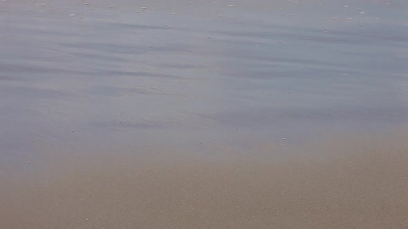 Waves lapping on shoreline with bubble foam as the water ebbs and flows. alt