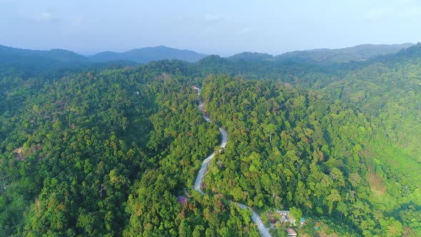 Panoramic Green Forest Nature Landscape Drone View