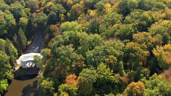 Beautiful flight above the trees. Autumn forest. Yellow, red, green leaves on the trees