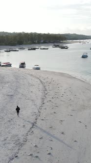 Beach on the Coast of Zanzibar Island Tanzania alt
