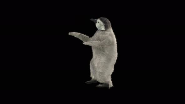 63 Samba Dancing 4K alt