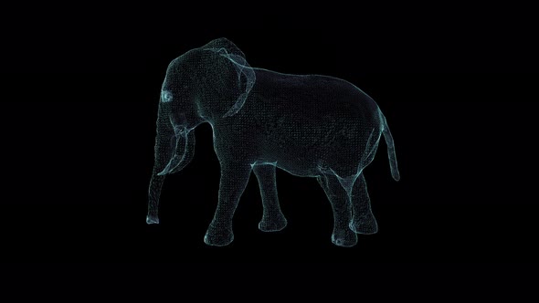 3D Seamless Loop Elephant Hologram Wireframe