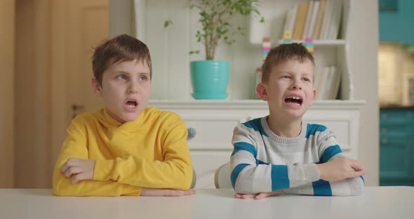 Two Boys with Autism Working with Speech Therapist at Home alt