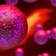 Embryonic Stem Cells  - VideoHive Item for Sale