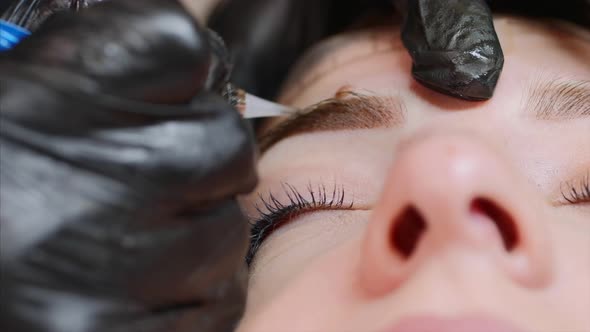 The Microblading Master Is Filling Up the Shape of an Eyebrow with a Color. alt