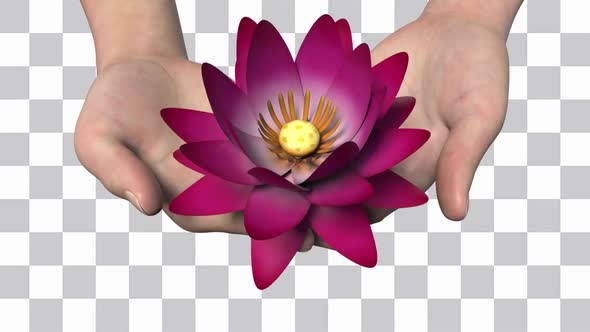Lotus In Hand Loop alt