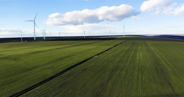 Windmills on Evergreen alt