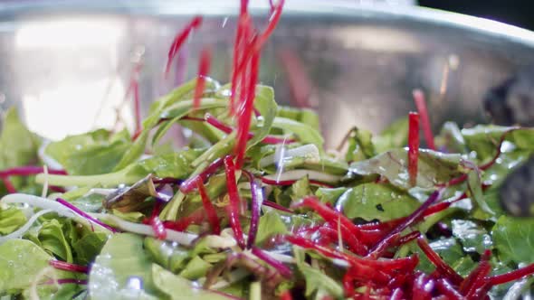 Green salad prepared in slow motion with carrots, leafs, lattuce and sprouts