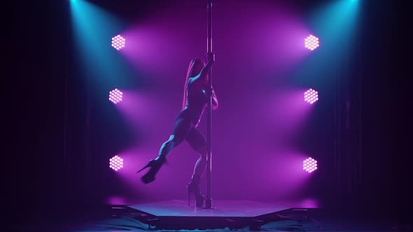 Young Sexy Slender Woman Dancing on a Pole Striptease with a Pylon in a Nightclub alt