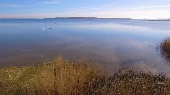 Camera Tracks Slowly Over Some Rushes And You See A Swan Stand U Up And Flapping Its Wings