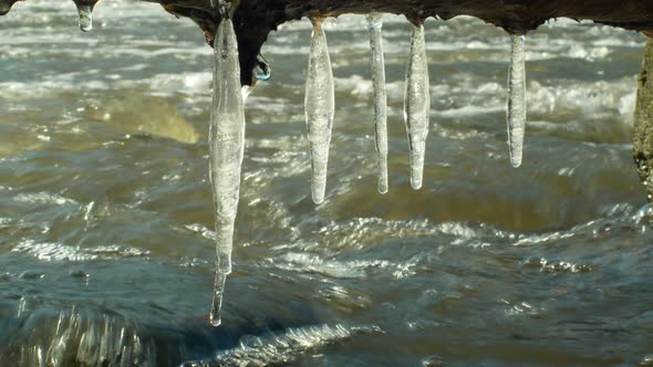 Icicles Water River Morava in Winter Frozen Magic and Magical White, Hanging From Overhang, Flowing