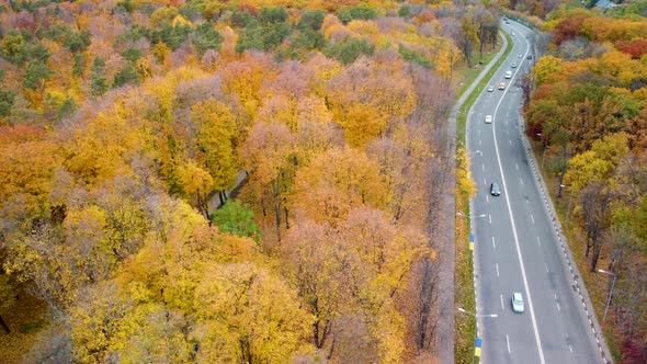 Aerial cars driving road in yellow autumn forest