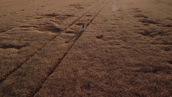 Lonely girl in the field of rye