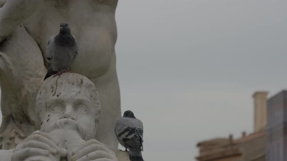 Pigeons sitting on a sculptere alt