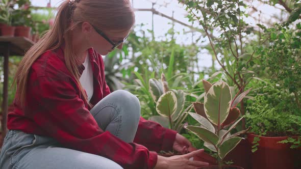 Young Girl Greenhouse Worker Carefully Checks Plants and Flowers for Parasites