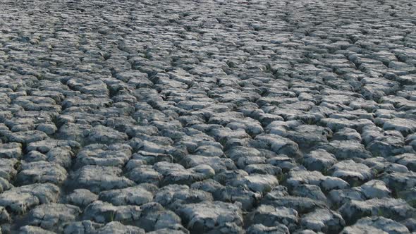 The Bottom of a Lake That Has Dried Up alt