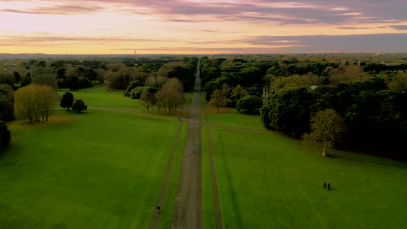 Aeriala view over irish park in autumn alt
