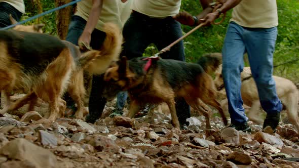 Army Search Party Running Through Forest with A Search Dog