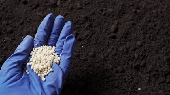 Mineral Fertilizer in Hand alt