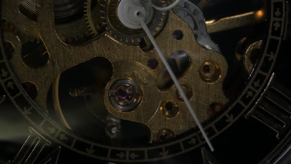 Watch Mechanism. Close Up alt