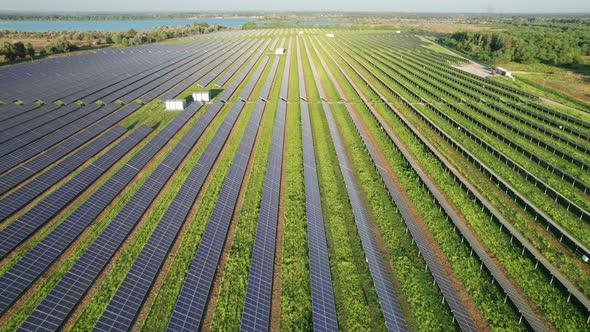 Aerial View of Solar Farm on the Green Field at Sunset Time Solar Panels in Row alt