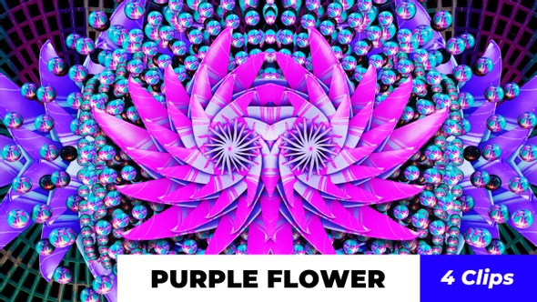 Purple Flower