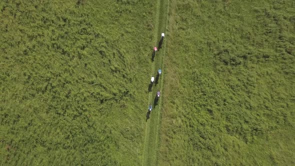 Group of rides a Bicycle a  Path of a Green Grass Field 4K