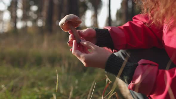 The Girl Holds a Mushroom in Her Hand