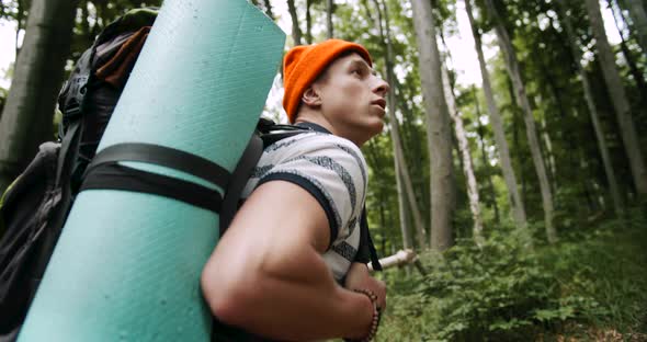 Man With Backpack Walking in Wood