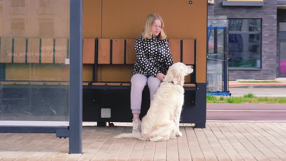 Life with Pets in the City. Teenage Girl Sitting with Her Dog at a Public Transport Stop, Waiting