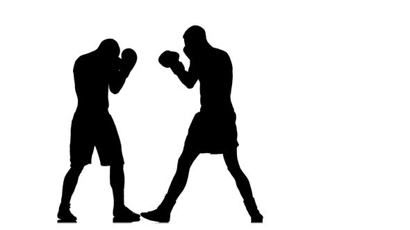 Three Times the Opponent Boxer Sends in a Knockout alt