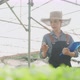 Asian young beautiful woman farmer work in vegetables hydroponic farm. - VideoHive Item for Sale