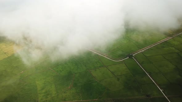 Aerial white cloud move over the green paddy field alt
