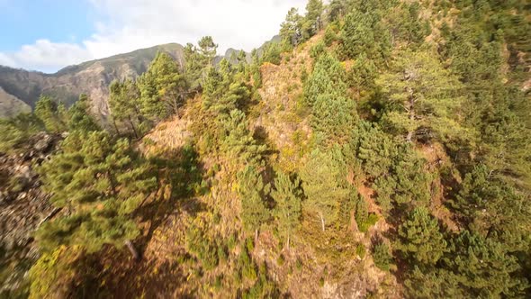 Cliff Valley FPV Racing Drone Aerial Action Camera Scenic Landscape with Trees and Cliffs Diving alt