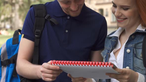Male Student Explaines Something in Notebook To His Classmate on Campus alt