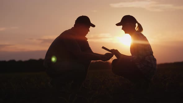 Farmers Work in the Field Until Late. Silhouettes of Man and Woman Farmers alt