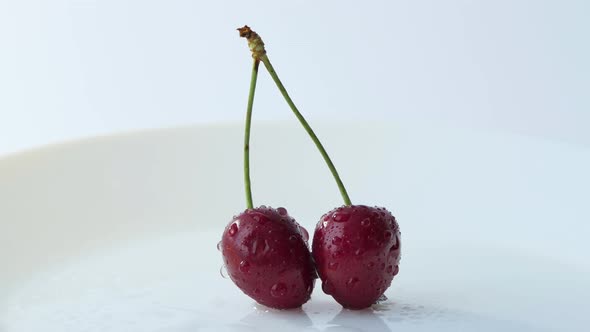 Two Red Cherries on a White Background
