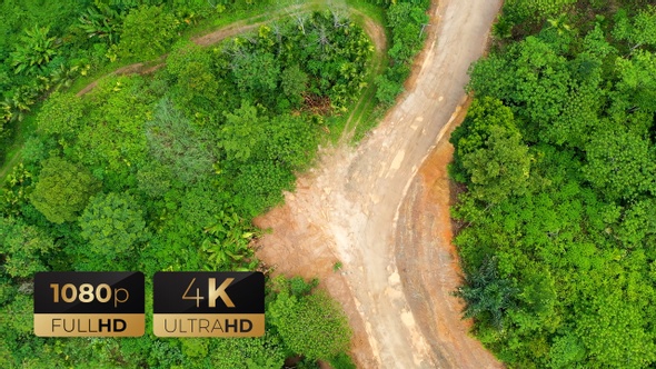 AH - Aerial View a Dirt Road Along Green Forest 02