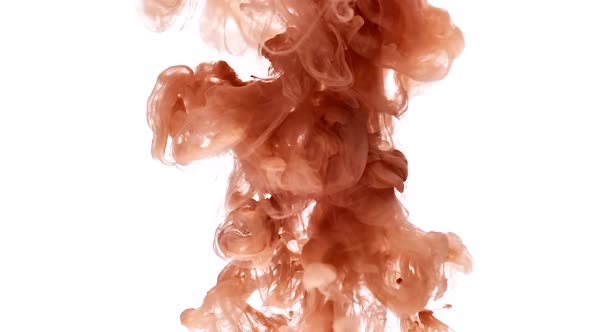 Brown Paint Swirls in Water alt