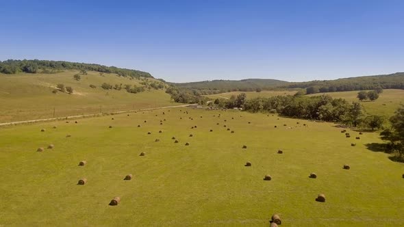 Golden hay bail harvesting in field landscape alt