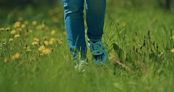 Walk in Beautiful Meadow in Summer or Spring Day Closeup View of Female Legs on Grass  Prores