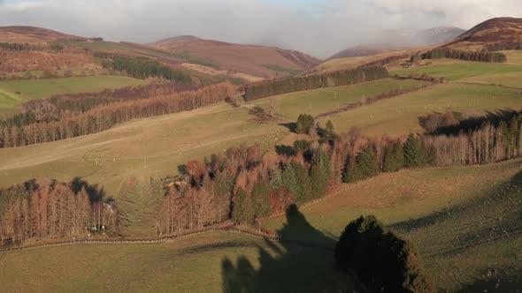 A Vast Moorland With Various Trees Under The Summer Weather In Blair Athol Inside The Cairngorms Nat alt