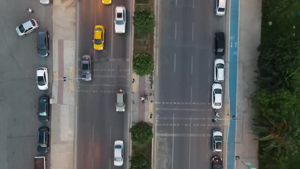 Crosswalk City Traffic alt