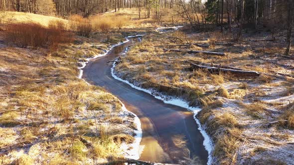 Bend of River in Forest