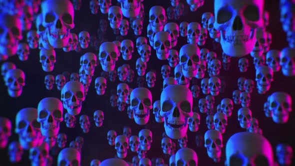 Disco Skulls