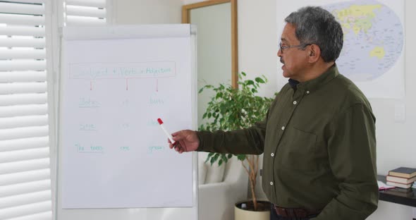 Mixed race male english teacher standing at a whiteboard giving an online lesson to camera alt